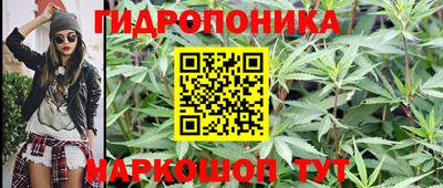 spice Дубна