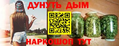 spice Дубна