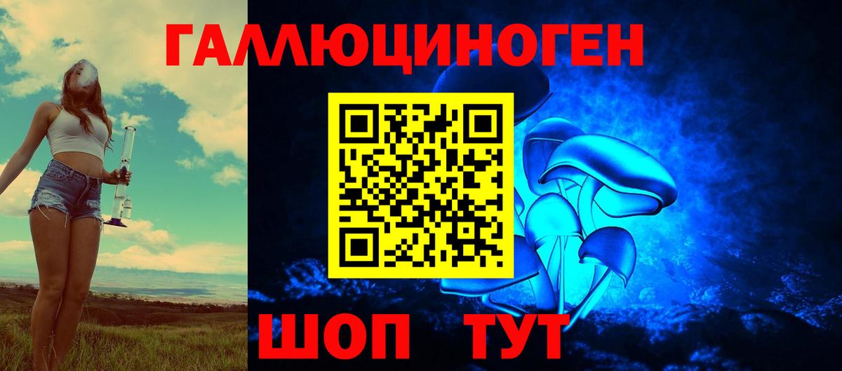 Череповец  Галлюциногенные грибы GOLDEN TEACHER  купить наркоту  Вход с VPN  Псилоцибиновые грибы MAGIC MUSHROOMS 